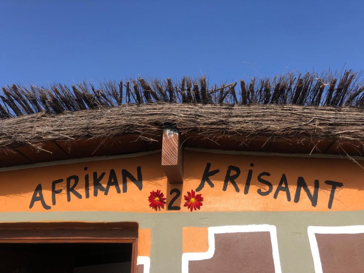 Afrikan Krisant Tenerife, Casa Rural Ecologica Arafo Ngoại thất bức ảnh