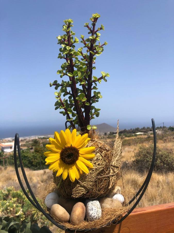 Afrikan Krisant Tenerife, Casa Rural Ecologica Arafo Ngoại thất bức ảnh