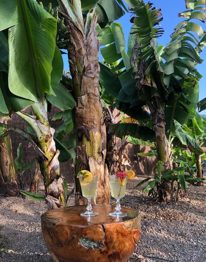 Afrikan Krisant Tenerife, Casa Rural Ecologica Arafo Ngoại thất bức ảnh