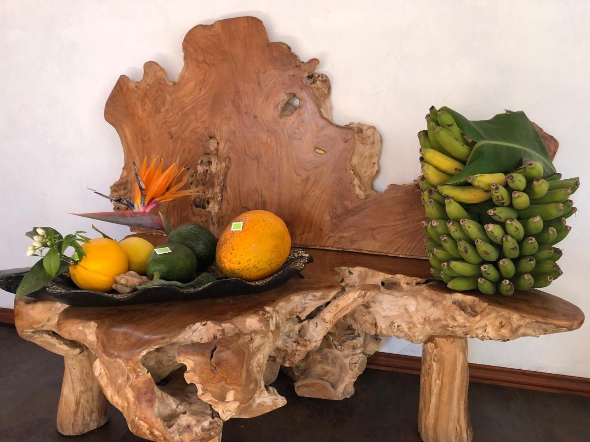 Afrikan Krisant Tenerife, Casa Rural Ecologica Arafo Ngoại thất bức ảnh