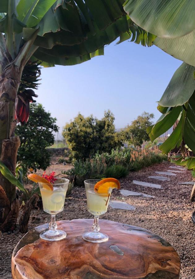Afrikan Krisant Tenerife, Casa Rural Ecologica Arafo Ngoại thất bức ảnh