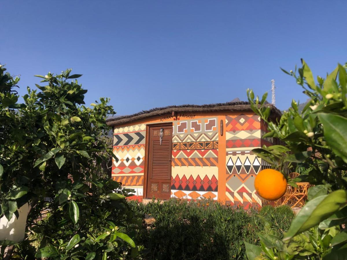 Afrikan Krisant Tenerife, Casa Rural Ecologica Arafo Ngoại thất bức ảnh