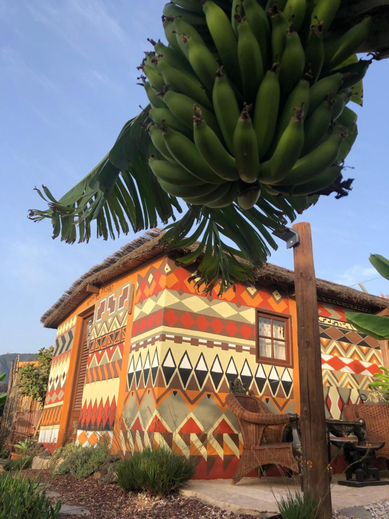 Afrikan Krisant Tenerife, Casa Rural Ecologica Arafo Ngoại thất bức ảnh