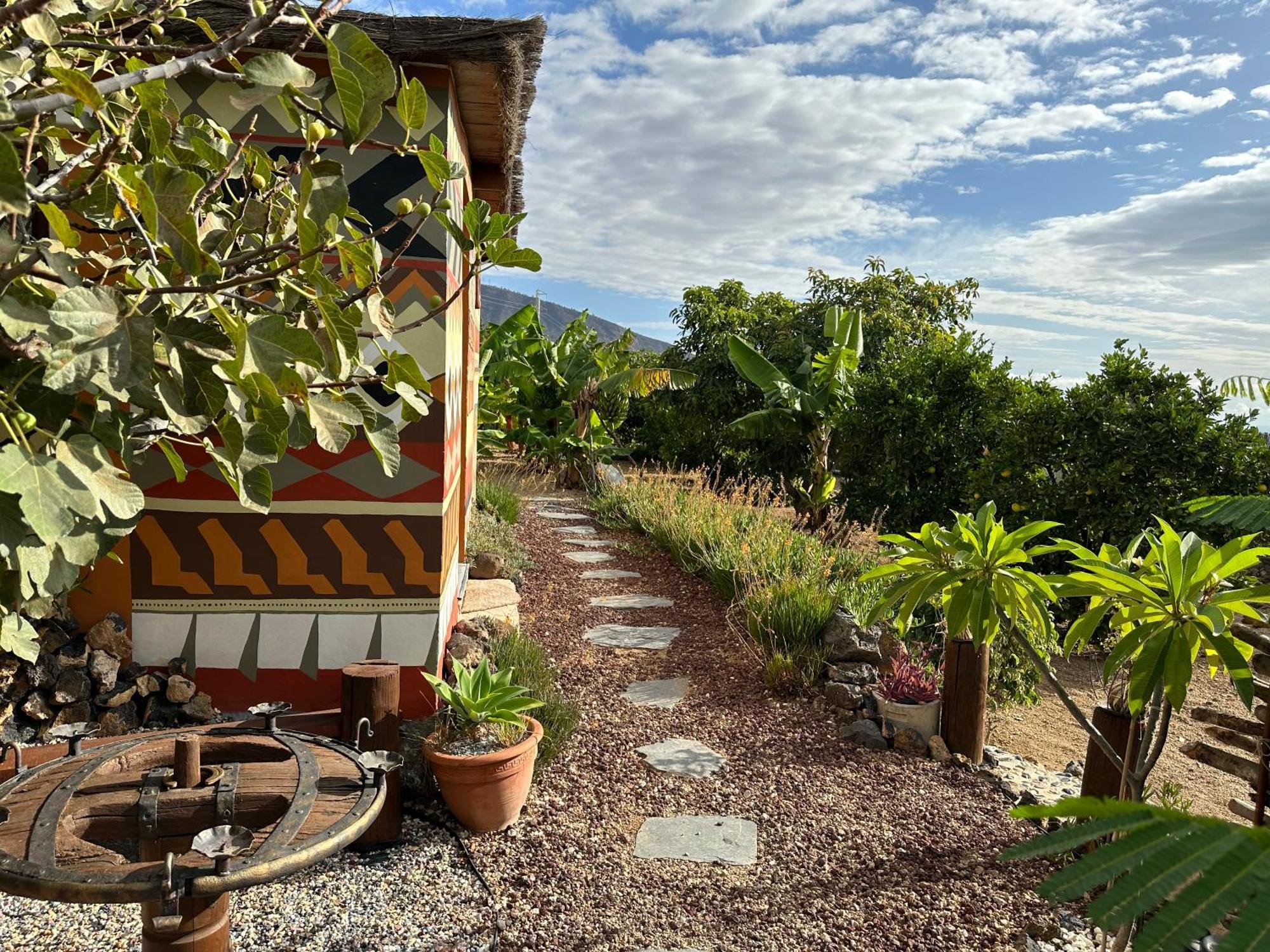Afrikan Krisant Tenerife, Casa Rural Ecologica Arafo Ngoại thất bức ảnh